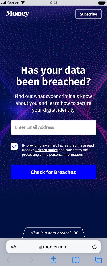 Data-breach checker landing screen — Has your data been breached?